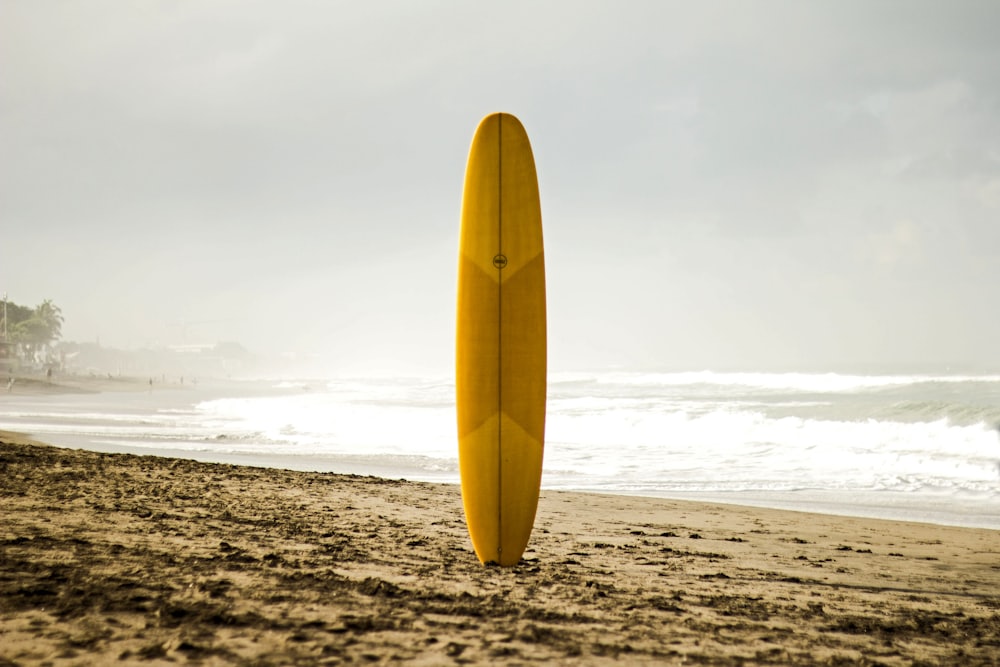 Surfboards on a rack against a wall